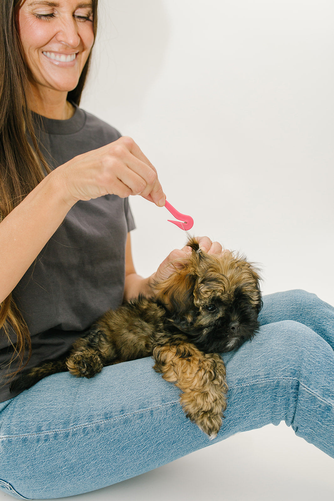 The PET Pony Pick w/ 50 clear elastics